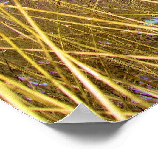 Lake Michigan Dune Grass Poster (Ecke)