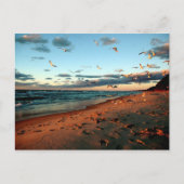 Lake Michigan Gulls Magic Hour Sunset Seascape Postkarte (Vorderseite)