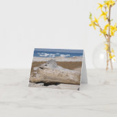 Lake Michigan Iceberg & Driftwood Blank Notecards Karte (Gelbe Blume)