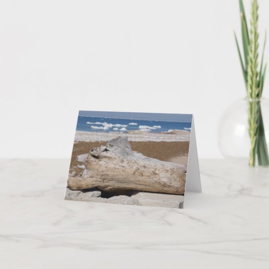 Lake Michigan Iceberg & Driftwood Blank Notecards Karte (Vorderseite)