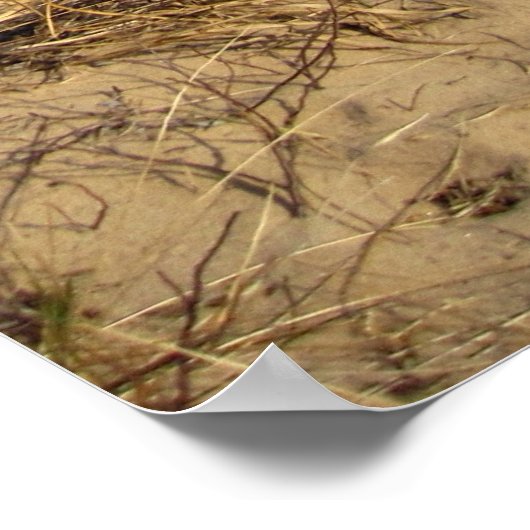 Lake Michigan Poster (Ecke)