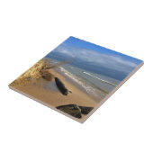 Lake Michigan, Sheboygan, Wisconsin Fliese (Seite)