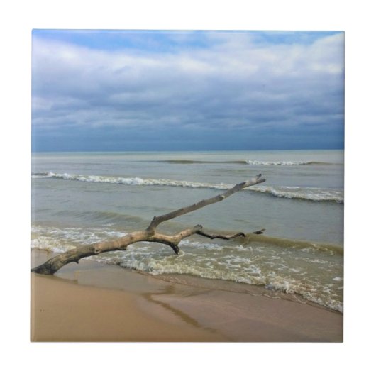 Lake Michigan, Sheboygan, Wisconsin Fliese (Vorderseite)