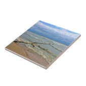 Lake Michigan, Sheboygan, Wisconsin Fliese (Seite)