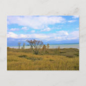 Lake Michigan, Sheboygan, Wisconsin Postkarte (Vorderseite)