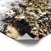 Lake Michigan Shore Poster (Ecke)