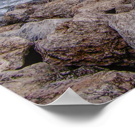 Lake Michigan Shoreline Poster (Ecke)