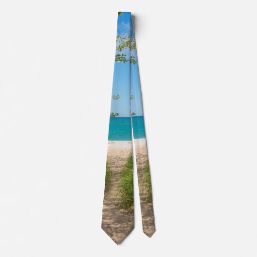 Lake Michigan Tranquility Neck Tie Krawatte (Vorderseite)