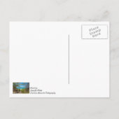 Lake Michigan Tranquility Postkarte (Rückseite)