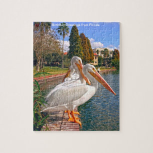 Lake Pelican Florida Puzzle