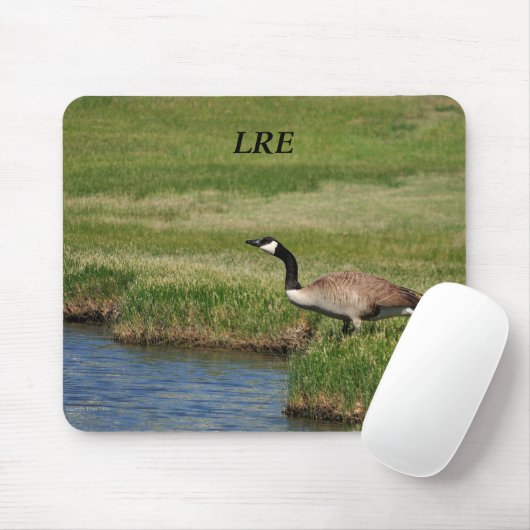 Lake Riverside Anwesens Mousepad (Mit Mouse)