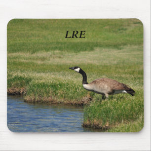 Lake Riverside Anwesens Mousepad