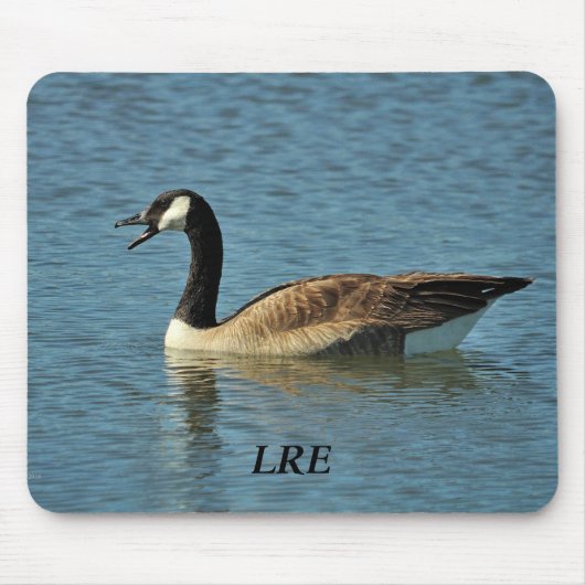 Lake Riverside Anwesens Mousepad (Vorne)