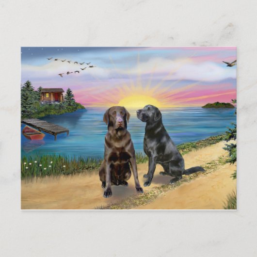 Lake Road - Zwei Labrador Retrievers (Choc-Blk) Postkarte (Vorderseite)