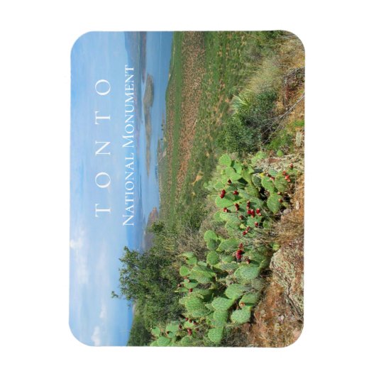 Lake Roosevelt, Tonto National Monument, AZ Magnet (Vertikal)