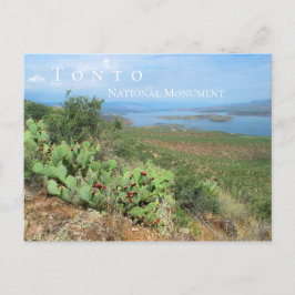 Lake Roosevelt, Tonto National Monument, AZ Postkarte
