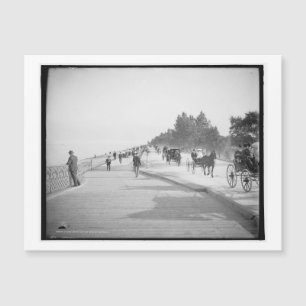Lake Shore Drive, Chicago, Illinois Vintage Magnetkarte