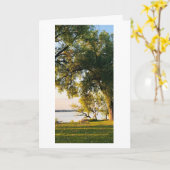 Lake Sunrise Bench, Yahara Park Place, Wisconsin Karte (Gelbe Blume)