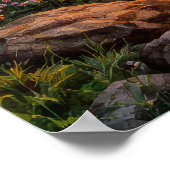 Lake Sunset - Watercolor Painting Style Poster (Ecke)