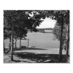 Lake Swing Fotodruck