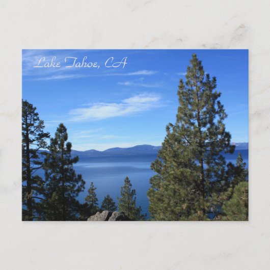 Lake Tahoe, CA Postcard Postkarte (Vorderseite)