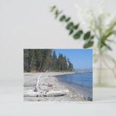 Lake Tahoe, CA Postkarte (Stehend Vorderseite)