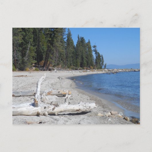 Lake Tahoe, CA Postkarte (Vorderseite)