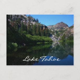 Lake Tahoe California Eagle Postkarte