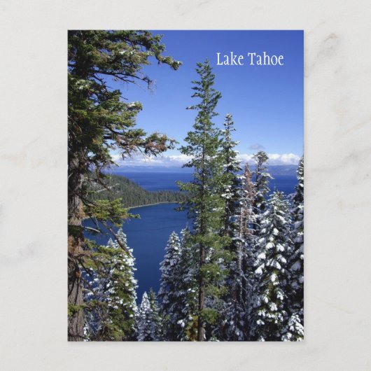 Lake Tahoe Postcard Postkarte (Vorderseite)
