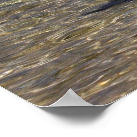 Lake Tahoe Poster (Ecke)