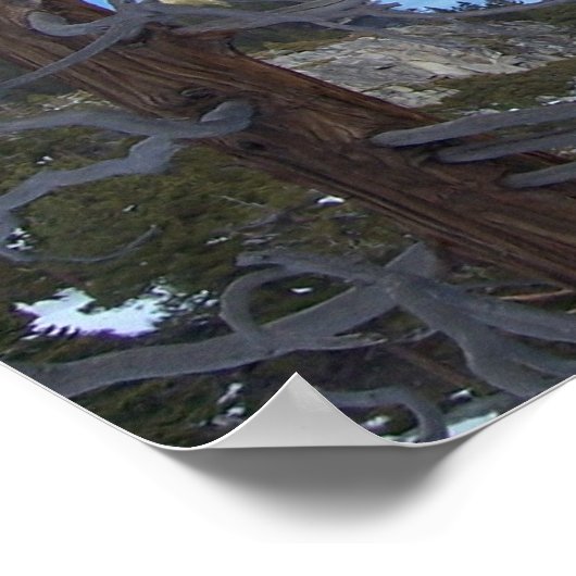 Lake Tahoe Poster/Art Poster (Ecke)