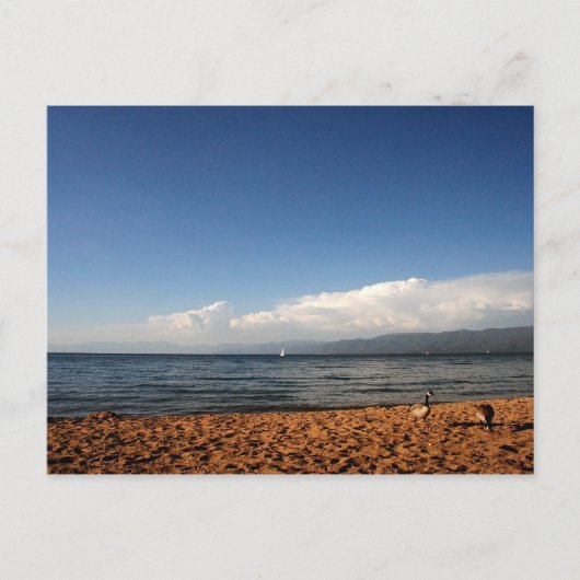 Lake Tahoe Postkarte (Vorderseite)