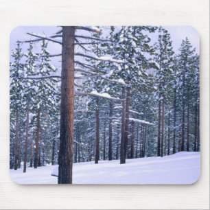 LAKE TAHOE STAAT PARK, NEVADA. USA. Frischer Schne Mousepad