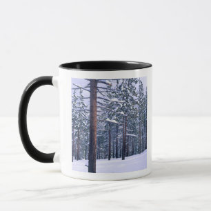 LAKE TAHOE STATE PARK, NEVADA. USA. Frischer Schne Tasse