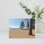 Lake TahoeEvergreens Postkarte (Stehend Vorderseite)