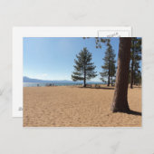 Lake TahoeEvergreens Postkarte (Vorne/Hinten)
