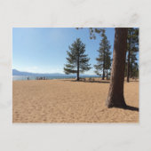 Lake TahoeEvergreens Postkarte (Vorderseite)