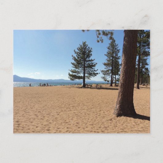 Lake TahoeEvergreens Postkarte (Vorderseite)