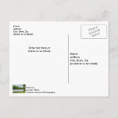 Lake Taneycomo Summer Fog Postcard Postkarte (Rückseite)