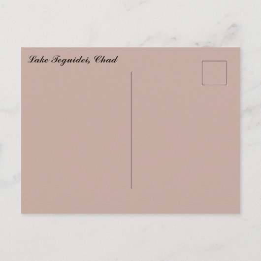 Lake Teguidei Chad Postkarte (Rückseite)