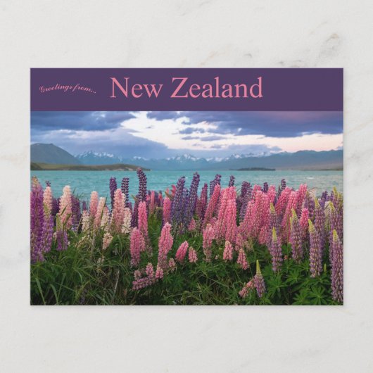Lake Tekapo Neuseeland Postkarte (Vorderseite)