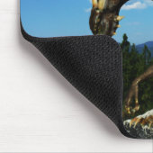 Lake View Mousepad (Ecke)