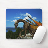 Lake View Mousepad (Mit Mouse)