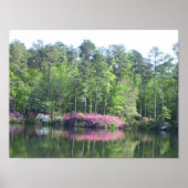 Lake View Poster (Vorne)