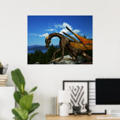 Lake View Poster (Heimbüro)