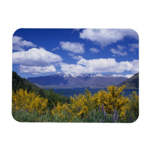 Lake Wakatipu und The Remarkables, Queenstown, Magnet