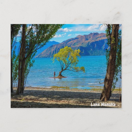Lake Wanaka New Zealand Postkarte (Vorderseite)