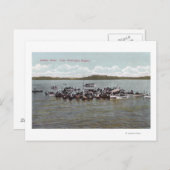 Lake Washington Regatta Scene Postkarte (Vorne/Hinten)