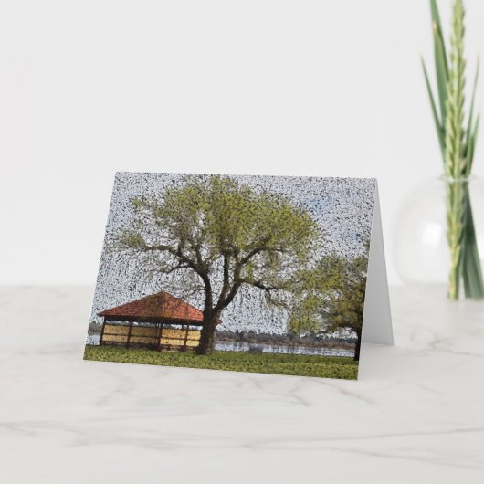 Lake Wendouree Pavilion Ballarat Karte (Vorderseite)