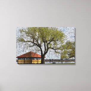 Lake Wendouree Pavilion Ballarat Leinwanddruck